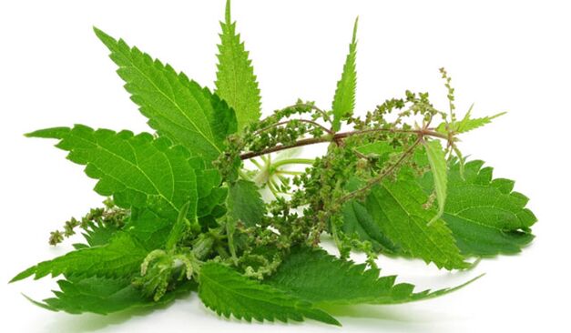 nettle to increase power